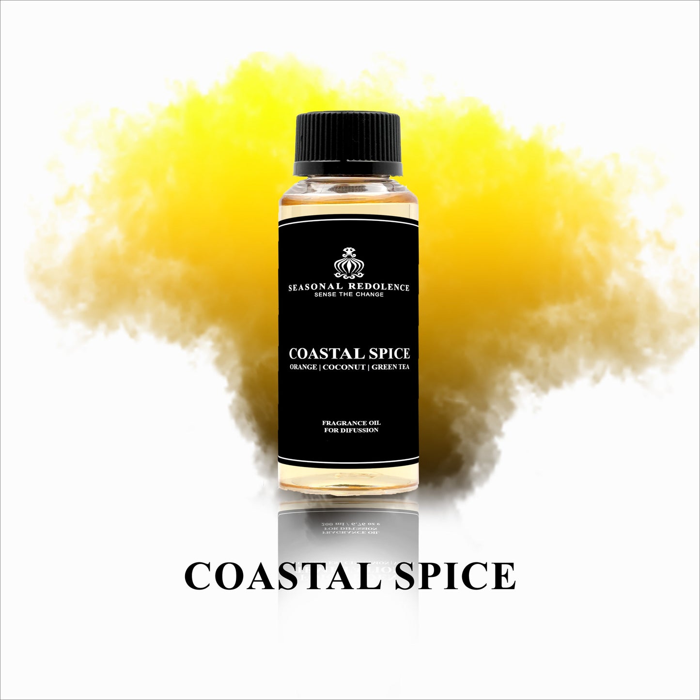 Coastal Spice Luxury Fragrance Diffuser Oil