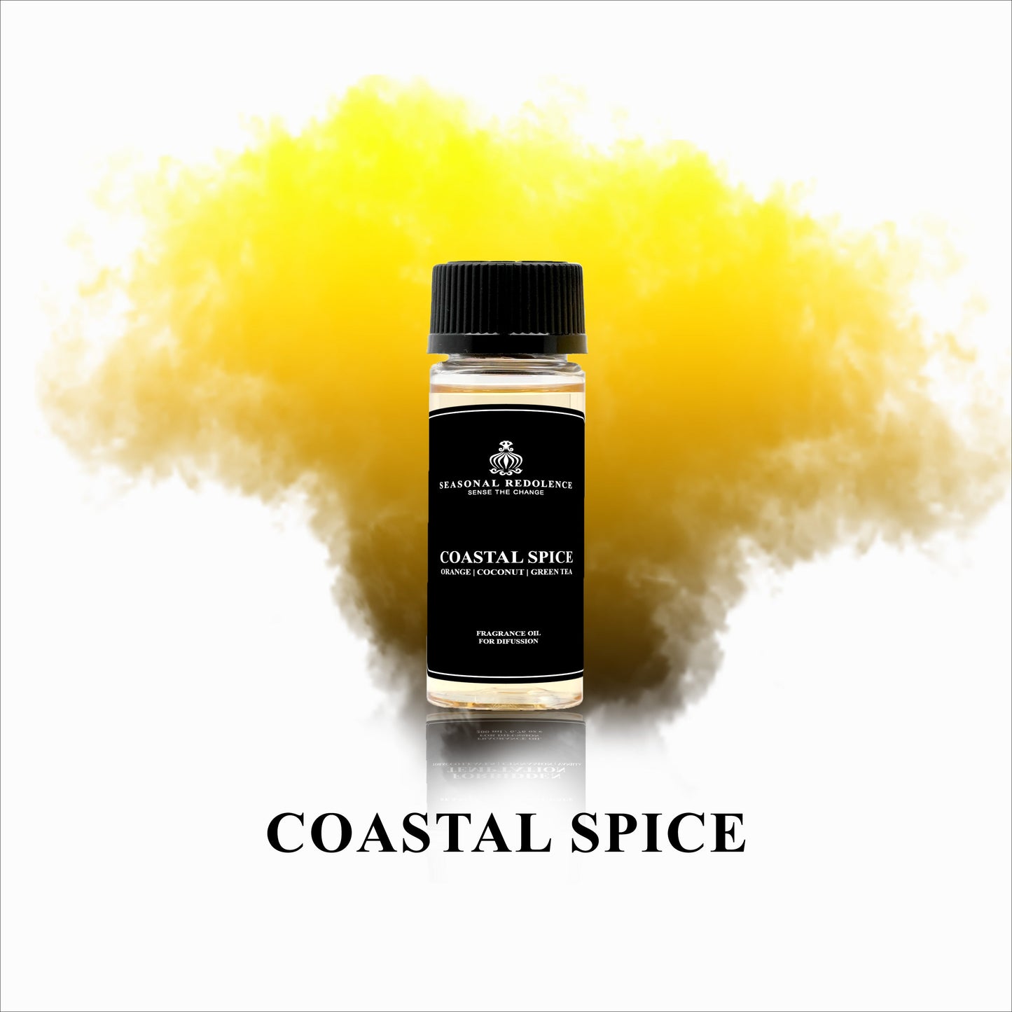 Coastal Spice Luxury Fragrance Diffuser Oil