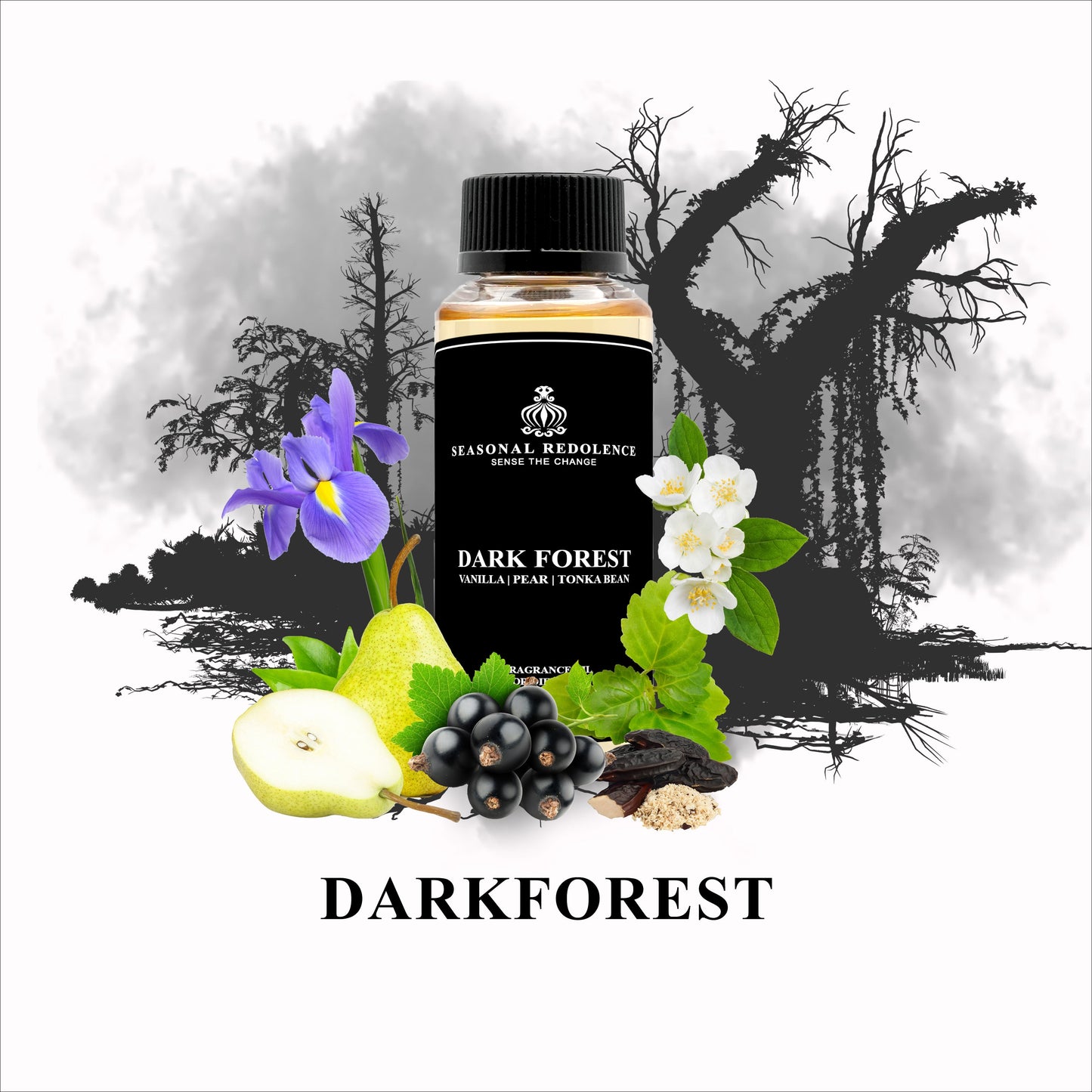 Dark Forrest Luxury Fragrance Diffuser Oil