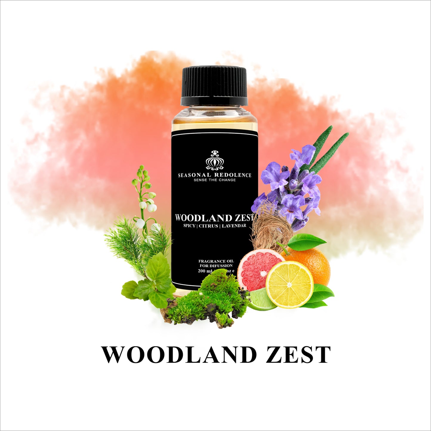 Woodland Zest Luxury Fragrance Diffuser Oil - Inspired by Pullman Hotel, Paris